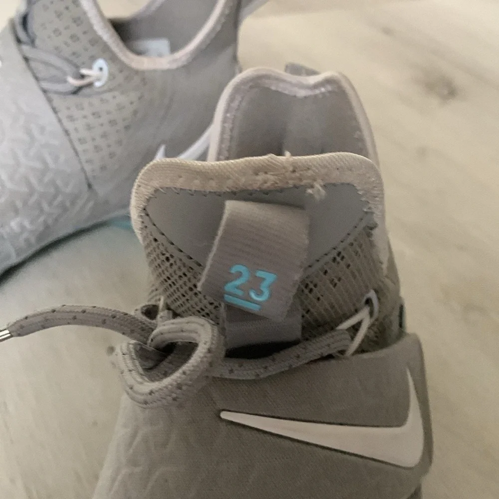 Nike lebron 14